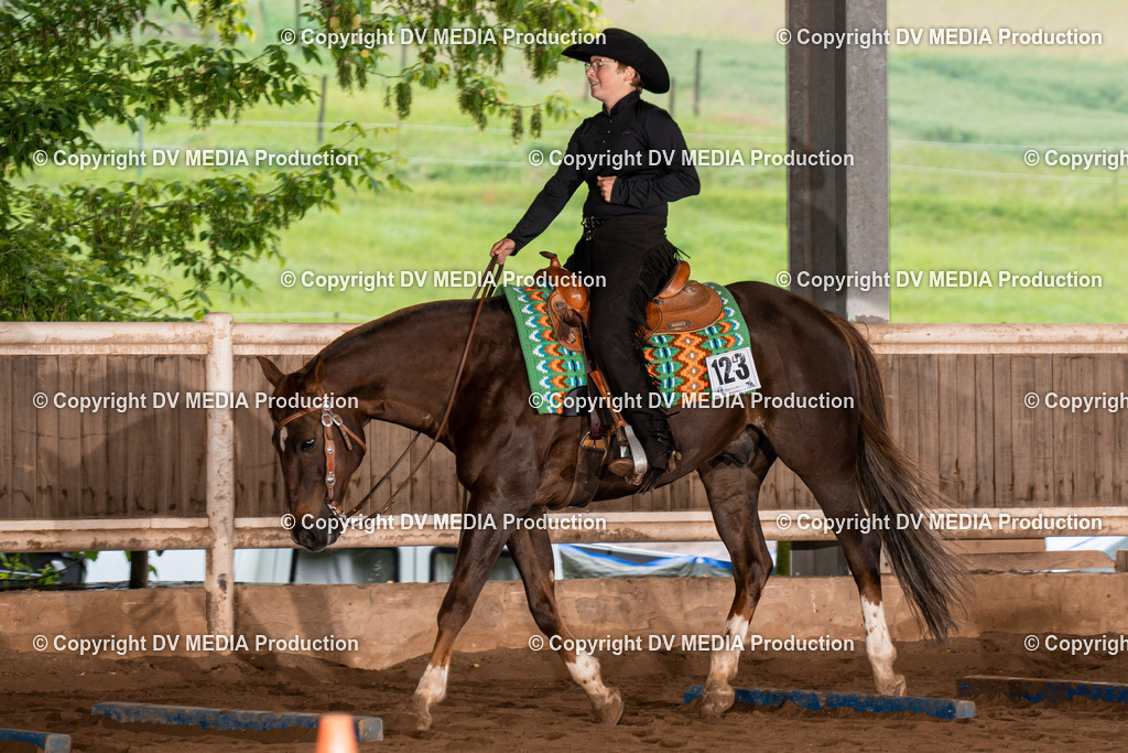 Erbach Tag 3-132 | dv-media-shop - Realisiert mit Pictrs.com