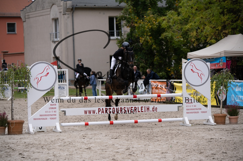 A7V08124 | Pferdefotograf