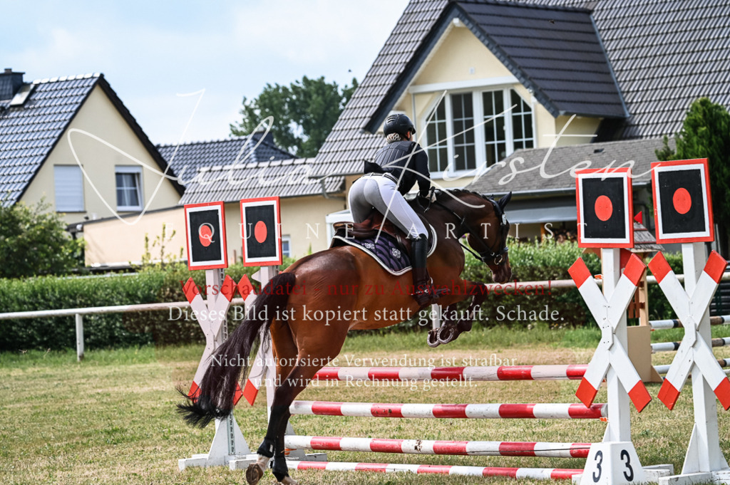 DSC_8418 | Pferde- und Turnierfotografie in Westsachsen. Pferdeportraits, Auftragszeichnungen und intuitive Kunst.