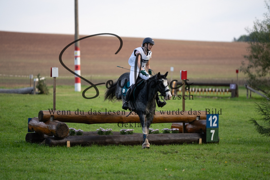 A7V03043 | Turnier/Reitfotograf