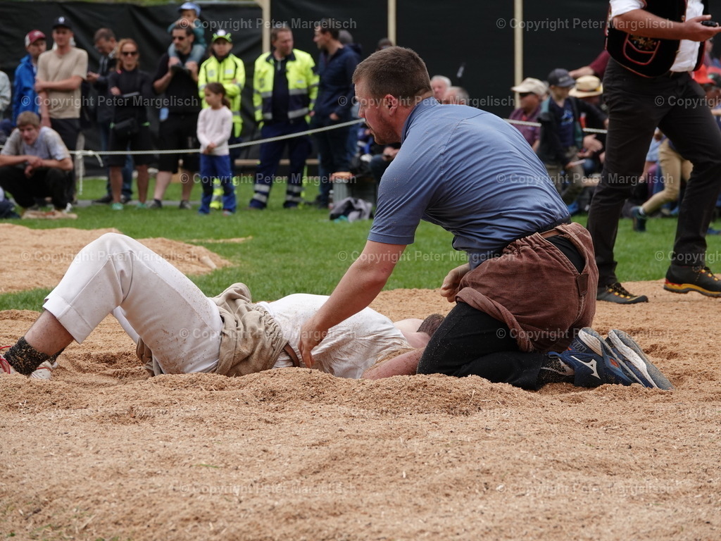 DSC07145 | Schwingen - Realisiert mit Pictrs.com