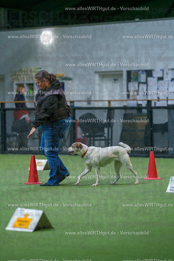 7R503348 | Professionelle Tierfotografie in Mönchengladbach von Daniel Wirth (allesWIRTHgut). Liebevolle & natürliche Bilder von Hunden & Katzen für unvergessliche Erinnerungen.