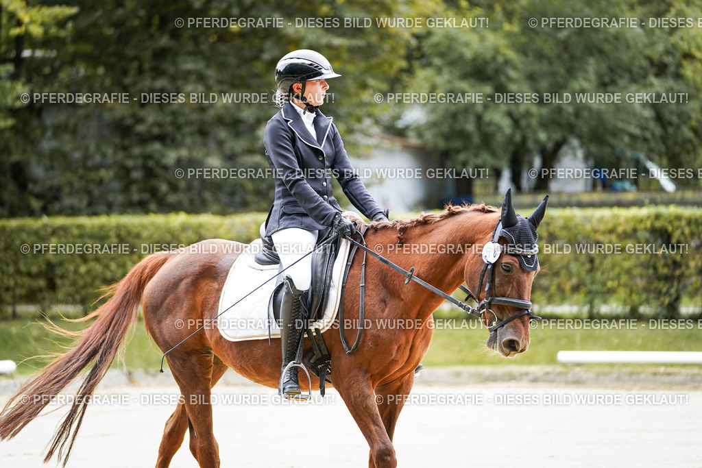 DSC04227 | Pferdegrafie