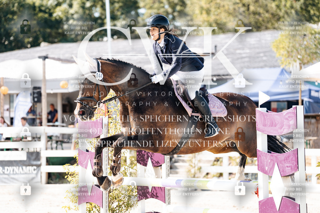 CK908166 | Turnierfotografie Pferdefotografie Trier Rheinland-Pfalz Pferdesport Reitsport Tierfotografie Sportfotografie Pferdevideo Pferdevideografie Equestrianvideography equestrianphotography  - Realisiert mit Pictrs.com