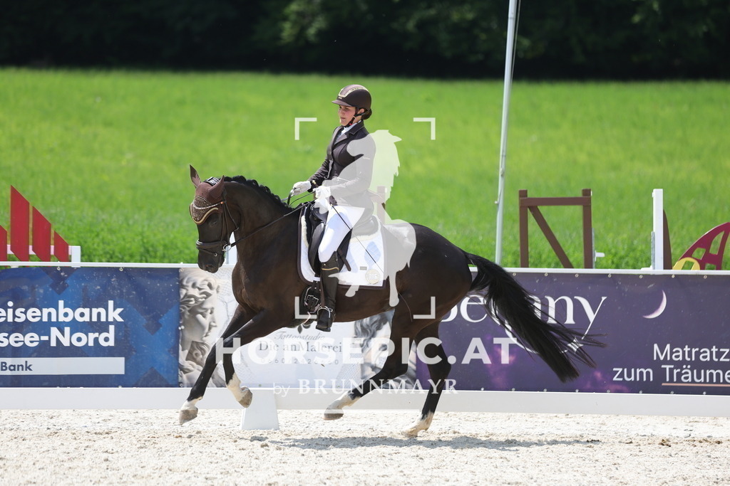 1P6A6305 | Willkommen bei Brunnmayr - Design & Fotografie – Ihrem Spezialisten für Reitturniere und Pferdeveranstaltungen in Oberösterreich, Salzburg und Bayern! Seit über 17 Jahren sind wir leidenschaftlich dabei.