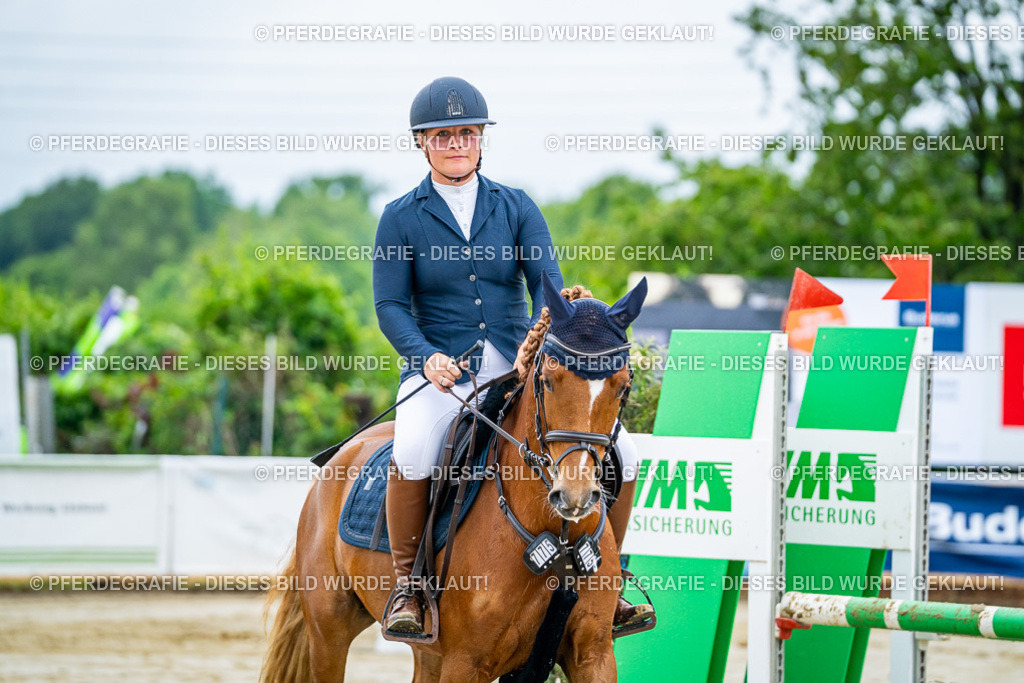 DSC01715 | Pferdegrafie