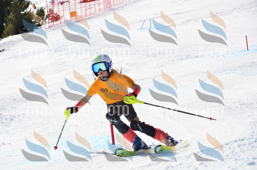 C9515 | holidayphoto