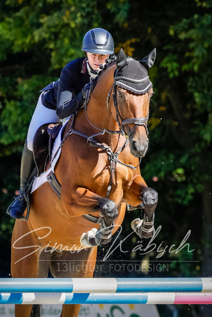 20250906-_3LI3735 | Tierfotografie Pferde, Hunde, Katzen, Haustiere.
Turnierfotografie Reitturniere, Reiten, Springreiten, Dressur in Hanau, dem Main-Kinzig-Kreis und dem Rhein-Main- Gebiet um Frankfurt