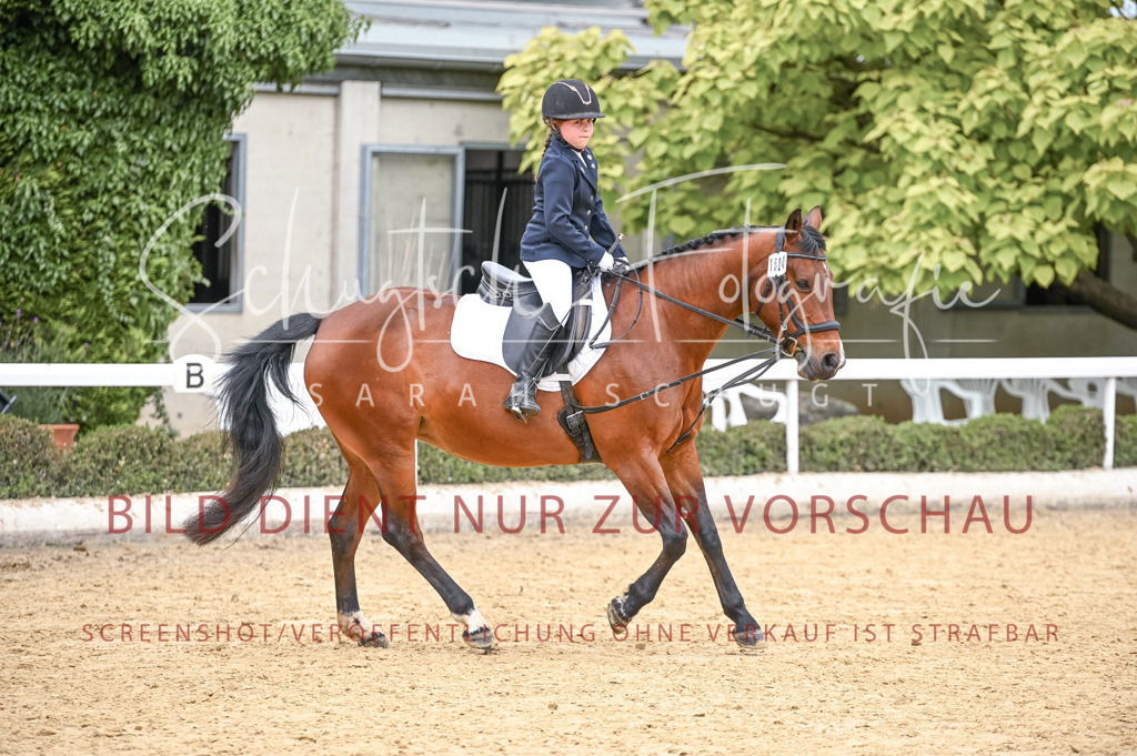 Schugtsche-Aluta25-44.DresssurreiterWB-109 | Schugtsche Fotografie - Realisiert mit Pictrs.com