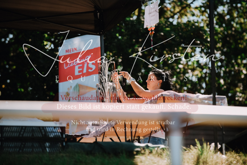 DSC_3011 | Pferde- und Turnierfotografie in Westsachsen. Pferdeportraits, Auftragszeichnungen und intuitive Kunst.