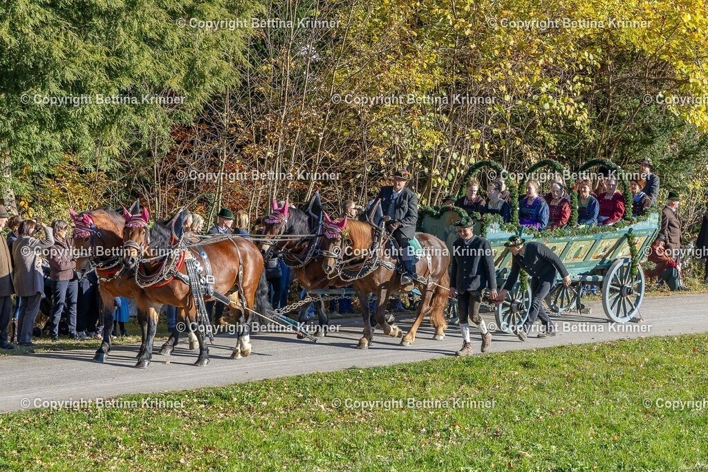 LBT25-117 | foto-bettina-krinner - Realisiert mit Pictrs.com