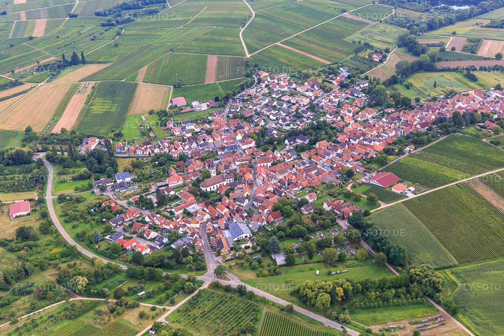 Luftbild: Ortsansicht aus Norden in Göcklingen im Bundesland Rheinland-Pfalz in Deutschland. Foto: IMG_128508.jpg vom 21.08.2021 durch Werner Riehm/FLY-FOTO.de