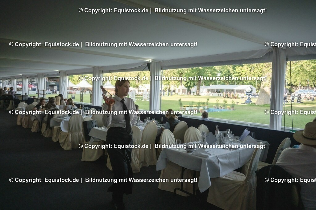 DSC_8696 | equistock