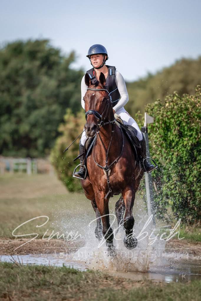 20250907-_3LI9287 | Tierfotografie Pferde, Hunde, Katzen, Haustiere.
Turnierfotografie Reitturniere, Reiten, Springreiten, Dressur in Hanau, dem Main-Kinzig-Kreis und dem Rhein-Main- Gebiet um Frankfurt