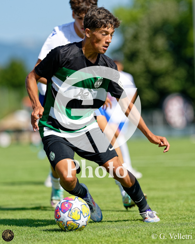 DZ8_9053 | Velletri Photo