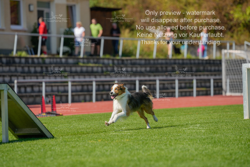 Sonntag_VK Hindernis (615 von 671) | stephaniefillaphotographie - Realisiert mit Pictrs.com