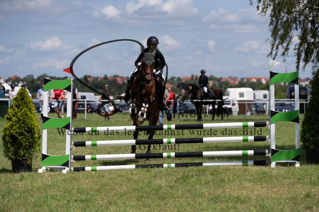 A7V04376 | Turnier/Reitfotograf