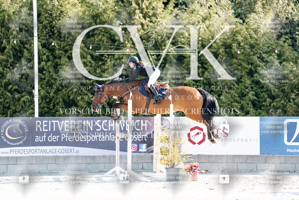 CK901700 | Turnierfotografie Pferdefotografie Trier Rheinland-Pfalz Pferdesport Reitsport Tierfotografie Sportfotografie Pferdevideo Pferdevideografie Equestrianvideography equestrianphotography  - Realisiert mit Pictrs.com