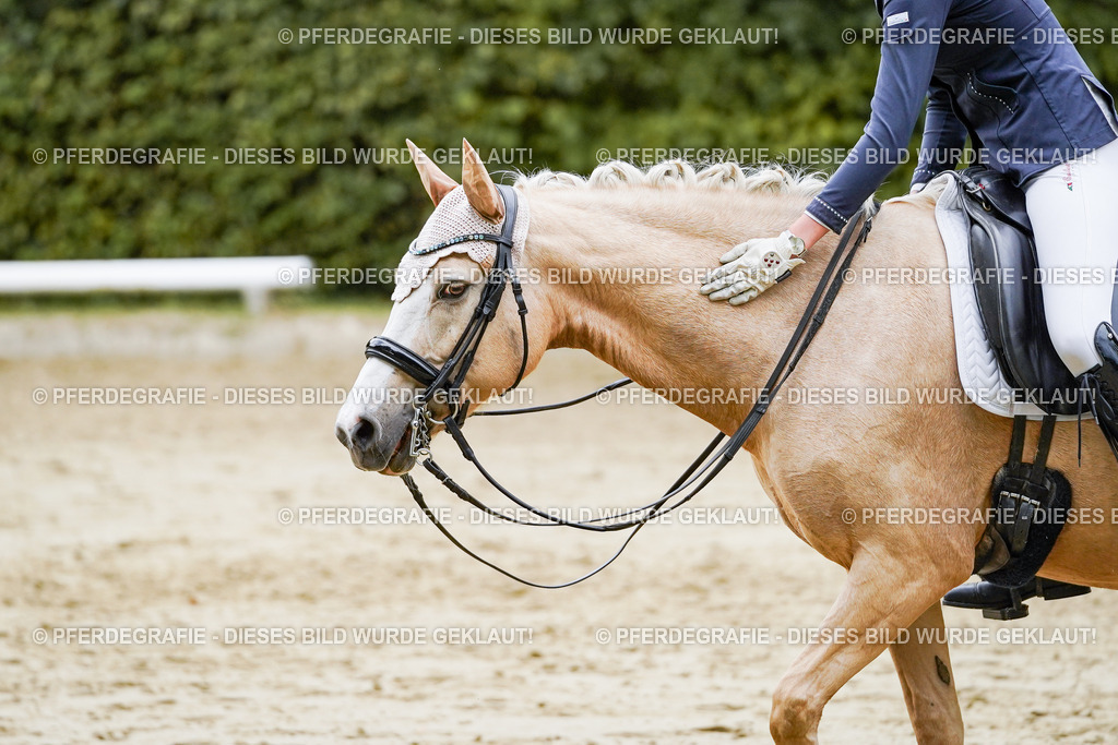 DSC07642 | Pferdegrafie