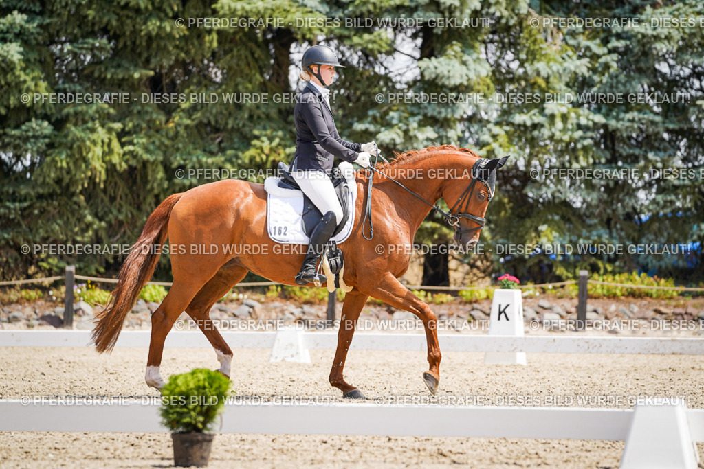 DSC00821 | Pferdegrafie