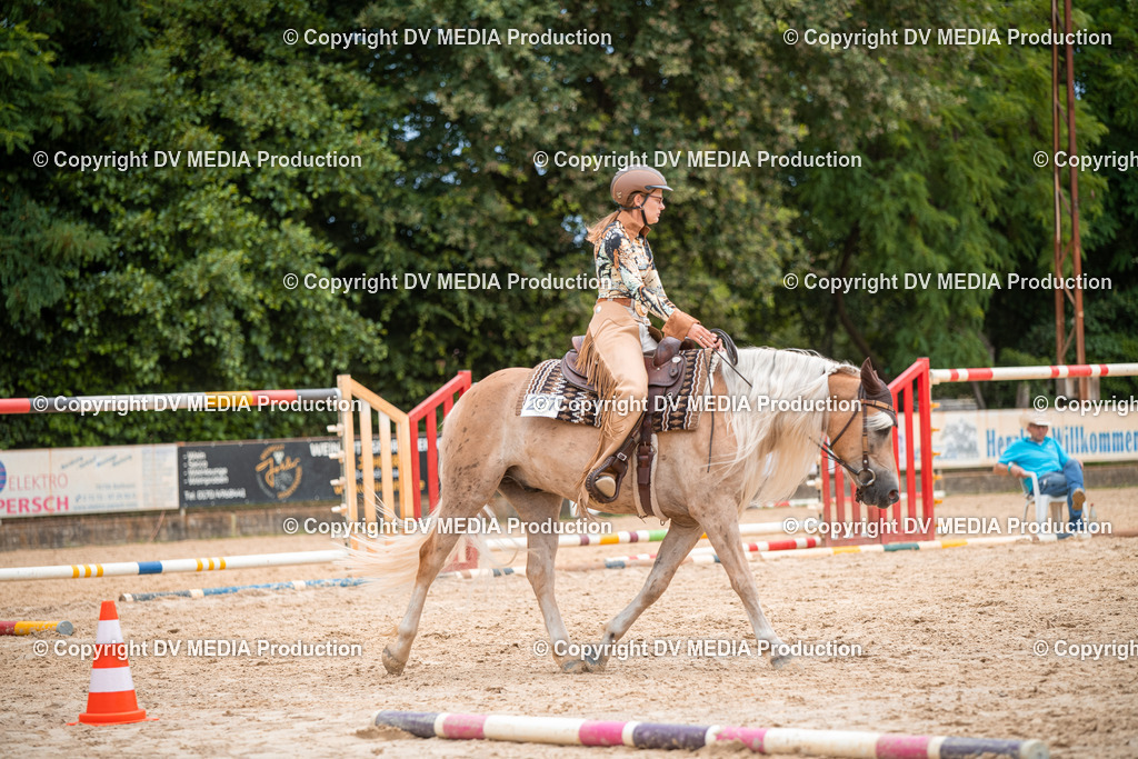 ZS2_8005 | dv-media-shop - Realisiert mit Pictrs.com