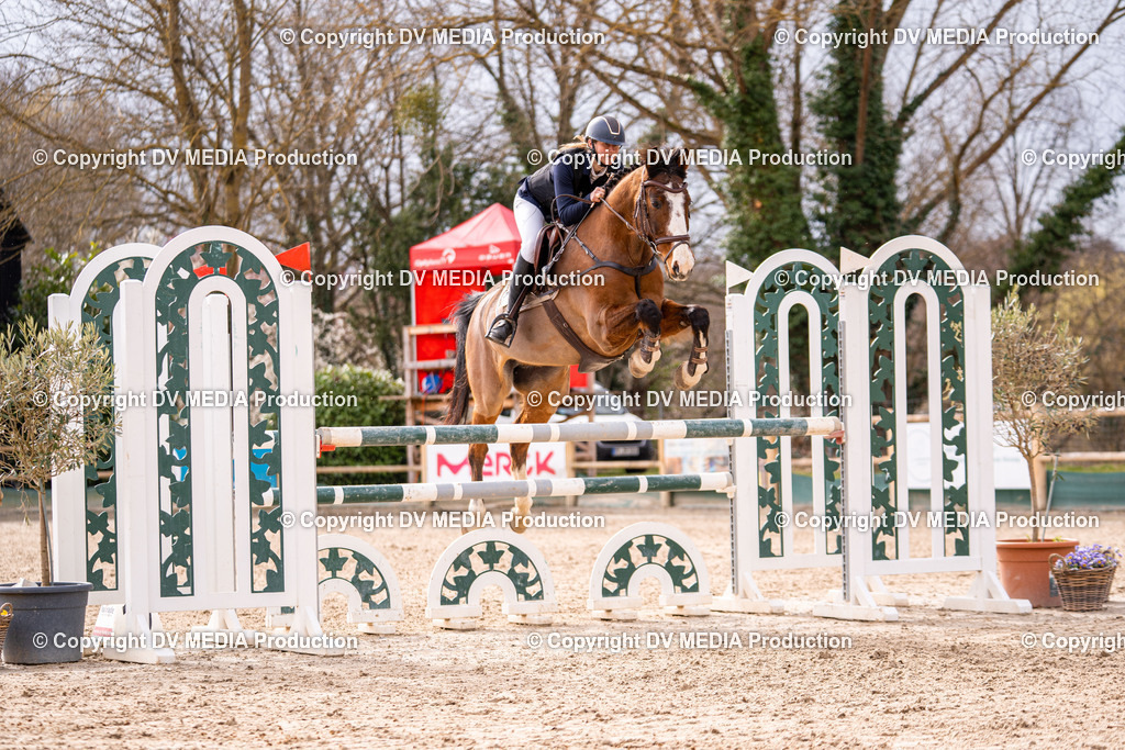 Kranichstein Tag 2-366 | dv-media-shop - Realisiert mit Pictrs.com