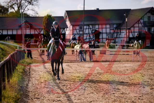 2026_10_03_Siefer-Hof_154842_Z81_66980764 | Professionelle Reitsport-, Turnier- und Eventfotografie von Robert Broda. Galerien mit ausgewählten und bearbeiteten Bildern direkt online ansehen und bestellen.