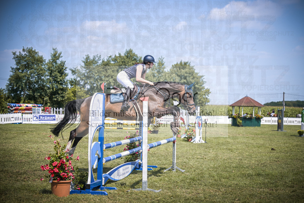 DOS_5148 | Entdecke hochwertige Reitturnierfotos von Foto Oger. Professionell, emotional und authentisch – jetzt Lieblingsmomente im Shop bestellen.Deutschlandweite Turnierfotografie. - Realisiert mit Pictrs.com