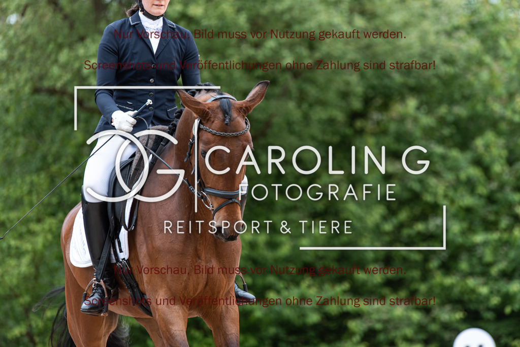 DSC_7016 | Turnierfotografin Carolin Gieschke,Reitsport Turnierfotografie Carolin G Fotografie | Turnierfotos aus Kirchheim/Teck, Esslingen, Stuttgart und dem Bodenseekreis