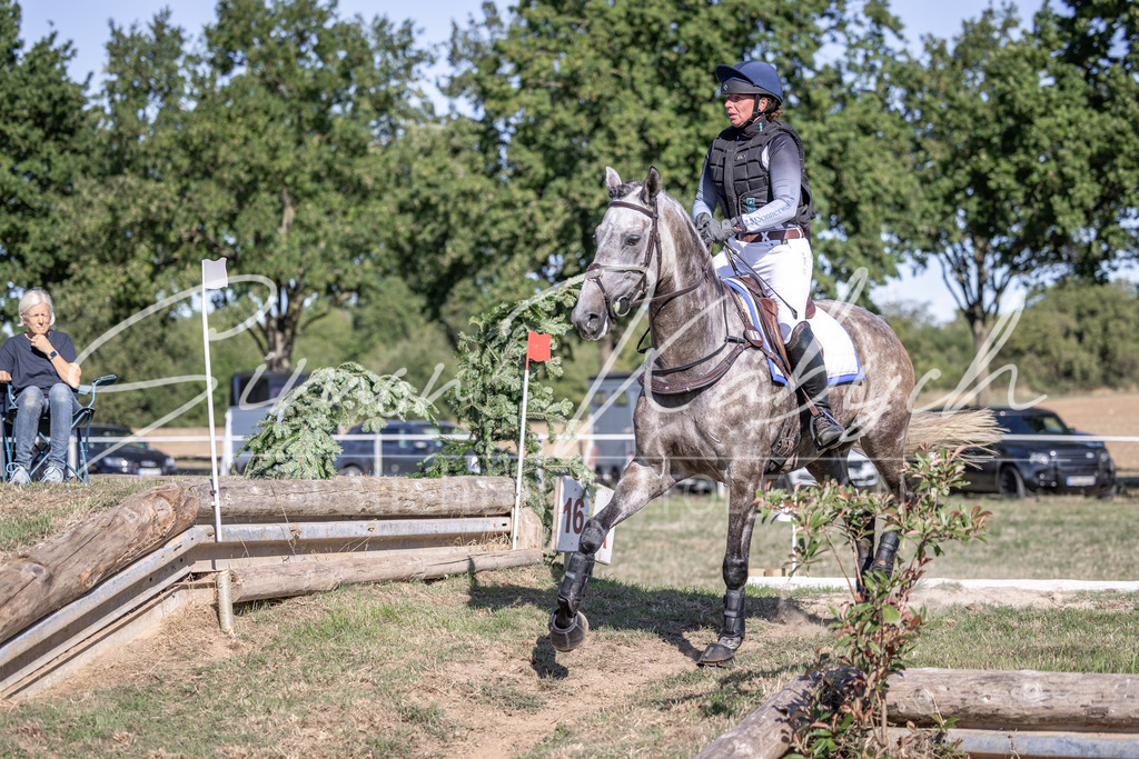 20260906-_3LI2175 | Tierfotografie Pferde, Hunde, Katzen, Haustiere.
Turnierfotografie Reitturniere, Reiten, Springreiten, Dressur in Hanau, dem Main-Kinzig-Kreis und dem Rhein-Main- Gebiet um Frankfurt