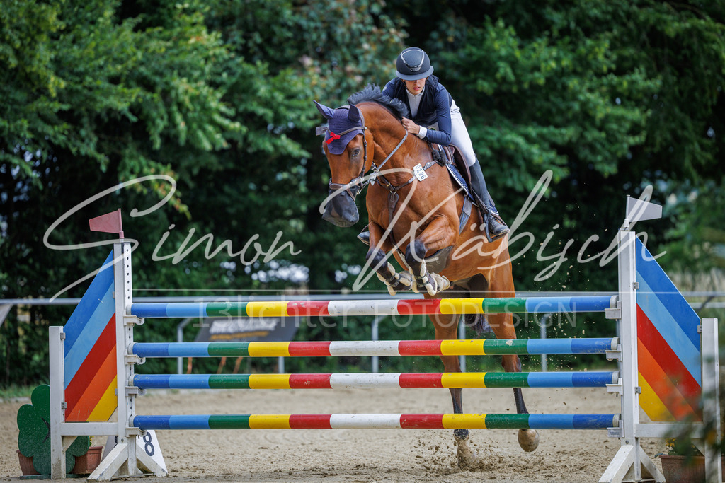 20260705-_3LI6591 | Tierfotografie Pferde, Hunde, Katzen, Haustiere.
Turnierfotografie Reitturniere, Reiten, Springreiten, Dressur in Hanau, dem Main-Kinzig-Kreis und dem Rhein-Main- Gebiet um Frankfurt
