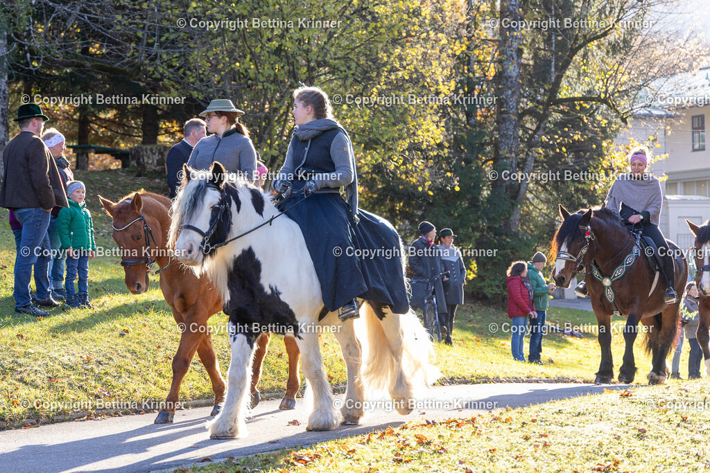 LL24-231 | foto-bettina-krinner - Realisiert mit Pictrs.com