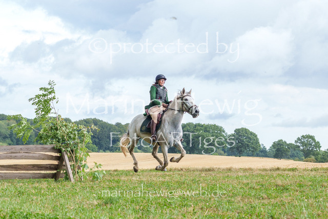 Jagd Knoop 26_MarinaHewigMCH02602 | Fotografie, FotoArt, PferdesportArt, Pferdesportfotografie, Landschaftsfotografie, Reisefotografie, Reise, Pferde - Realisiert mit Pictrs.com