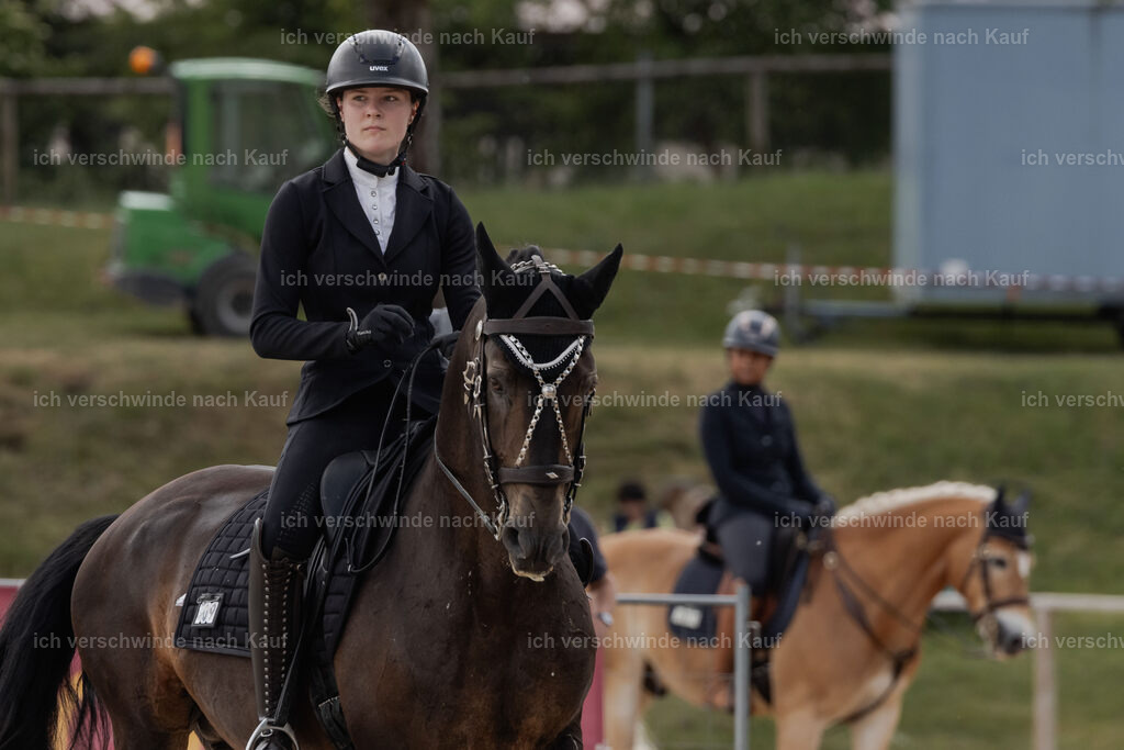 WE_ST_Stoib_309_PI2025_964 | Pferd International München 2025