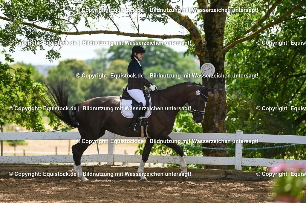 20230716_03_Dressurprfg. Kl.L - Tr._0170 | equistock