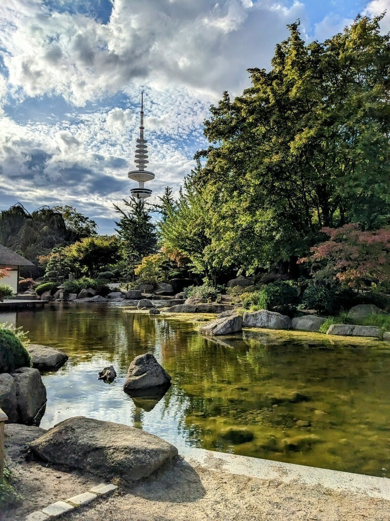 PXL_20230813_161617527_2 | crus-photography