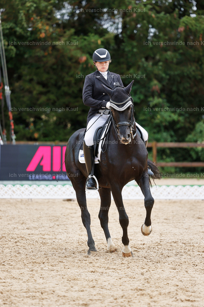 07-093-DRESSUR  S___  -StoibPH-5033 | working equitationturnier fotograf videograf stoibphotography marixx film working equitation deutschland reitsport turnierfotografie eventfotografie equestrian events