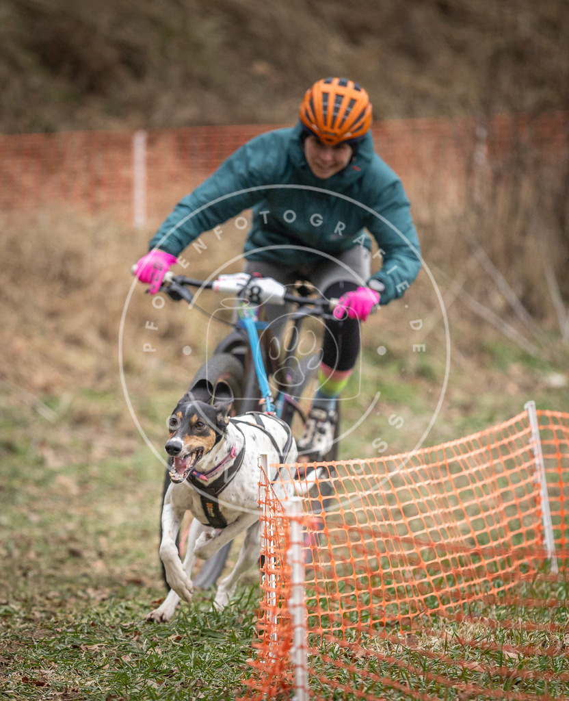 Pfotenfotografie_DV3A5062 | Hundefotografie, Tierfotograf, Pfotenfotografie, Fotoshooting Hund, Hunde Portrait, Hundesport, Hundeportraits, Heideshooting, Hunde, Sportfotograf, Hundefotograf, Turnierhundsport, THS,  - Realisiert mit Pictrs.com