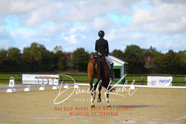 DKP43982 | Turniersportfotografie; Pferdefotografie; Dressurfotografie