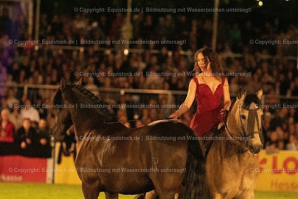 20230526_Pferdenacht_1416 | equistock