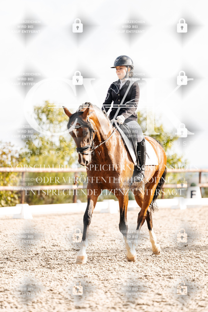CK900906 | Turnierfotografie Pferdefotografie Trier Rheinland-Pfalz Pferdesport Reitsport Tierfotografie Sportfotografie Pferdevideo Pferdevideografie Equestrianvideography equestrianphotography  - Realisiert mit Pictrs.com