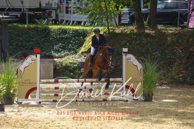 DKP40344 | Turniersportfotografie; Pferdefotografie; Dressurfotografie