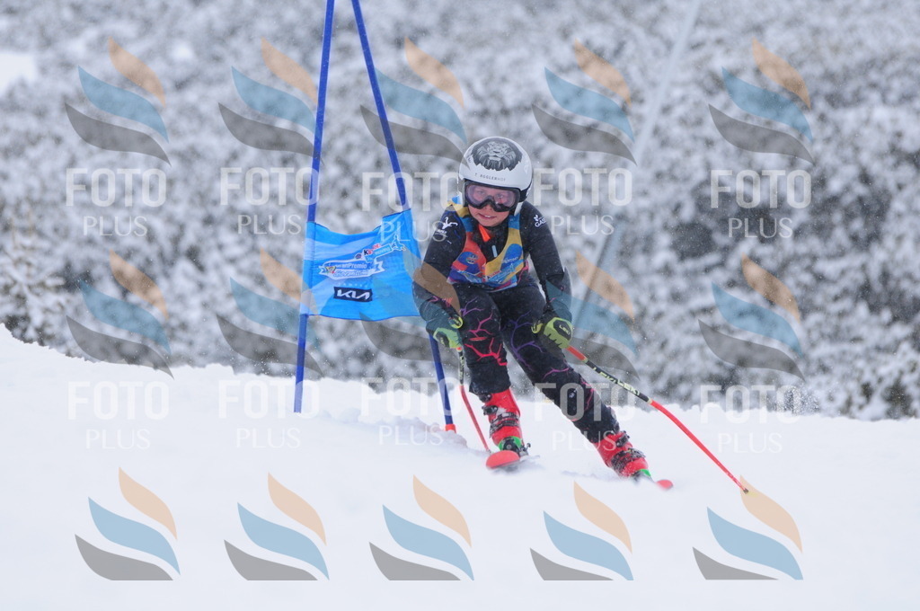 C4138 | holidayphoto