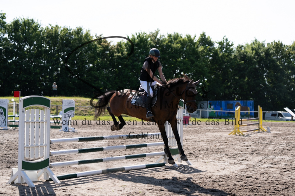 A7V03521 | Pferdefotograf