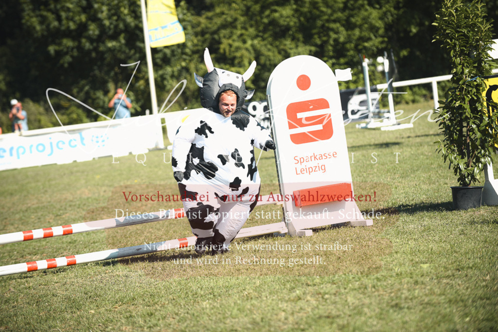 DSC_7748 | Pferde- und Turnierfotografie in Westsachsen. Pferdeportraits, Auftragszeichnungen und intuitive Kunst.