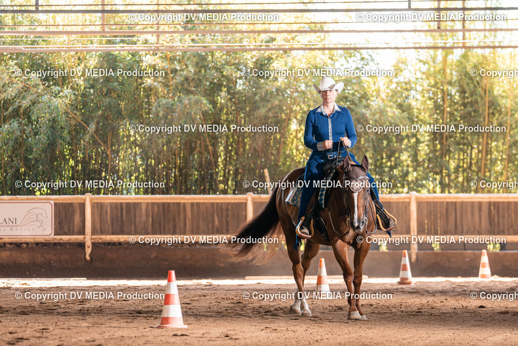 Erbach Tag 3-372 | dv-media-shop - Realisiert mit Pictrs.com