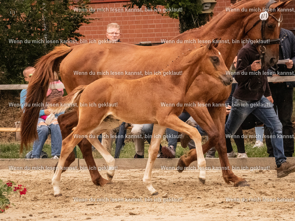 A10I1320 | photographylinaismer - Realisiert mit Pictrs.com