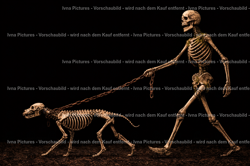 Verfallene Wanderung der Knochenfreunde | Ivna Pictures - Realisiert mit Pictrs.com