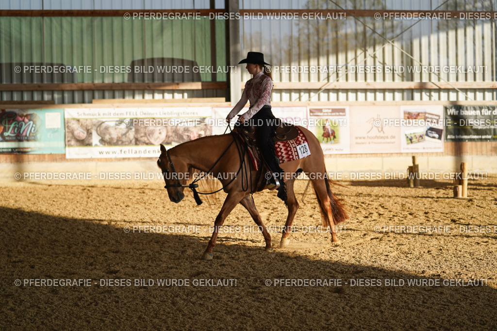 DSC08417 | Pferdegrafie