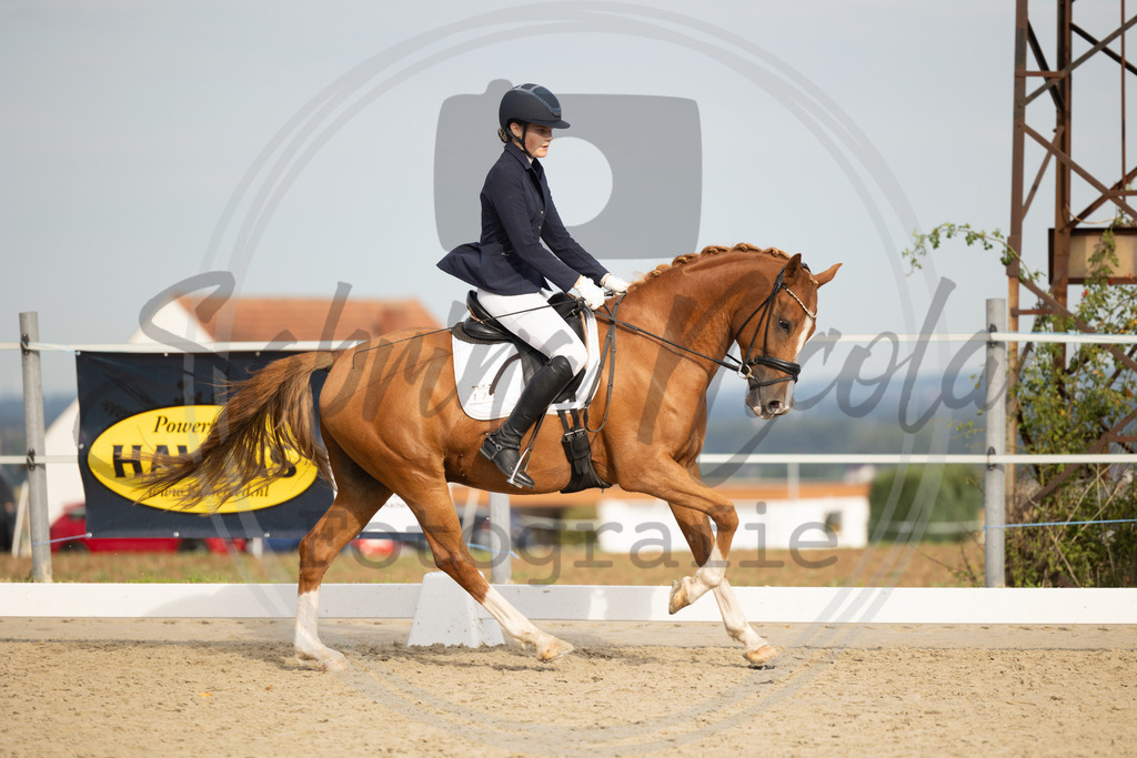 994A1098 | sabrinanicolaifotografie - Realisiert mit Pictrs.com